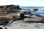 PICTURES/La Jolla Cove/t_La Jolla Cove3.JPG